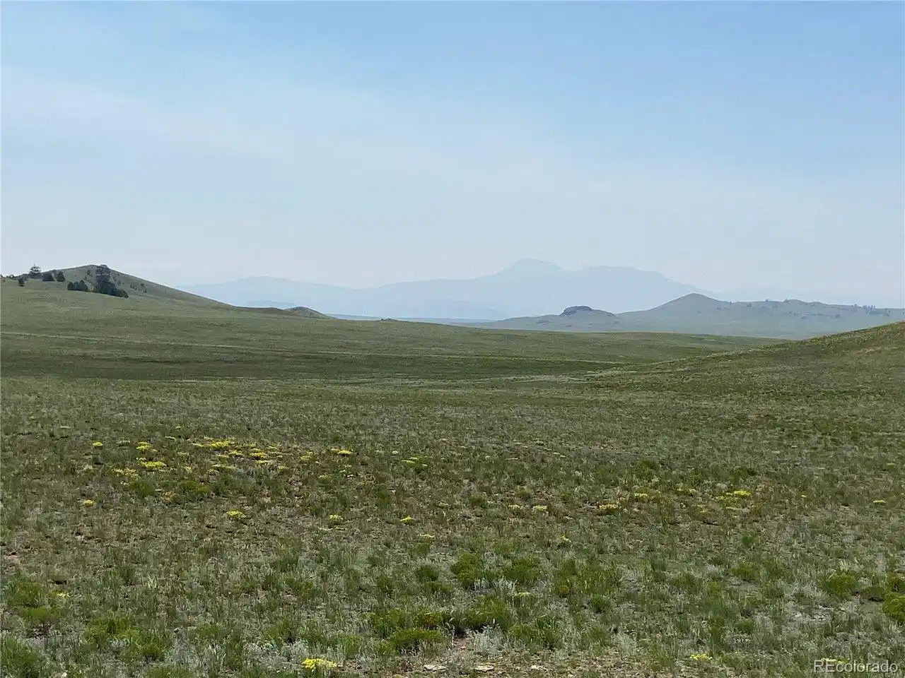 Image 1 Image 1