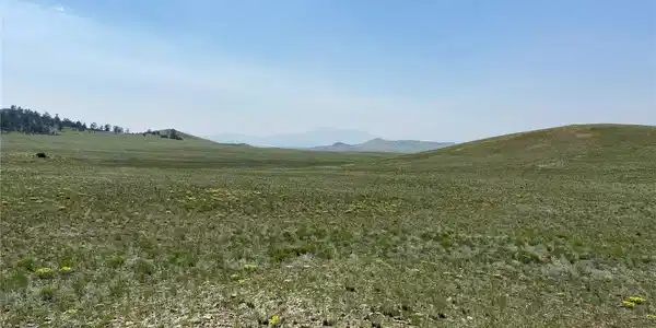 Image 3 Image 3