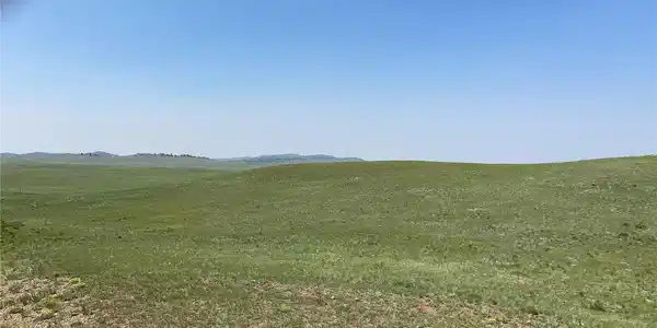 Image 4 Image 4