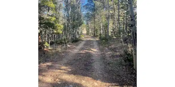 Image 3 Image 3