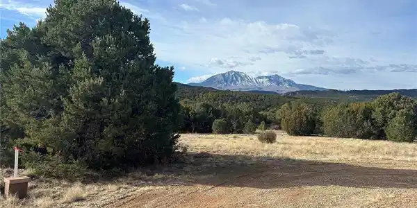 142 Silver Spurs Ranch