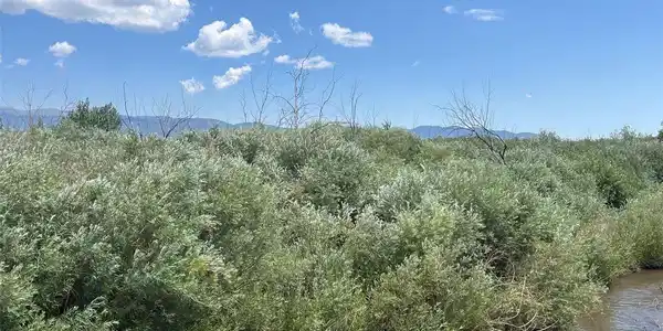 Image 4: Huerfano River Border Lot 75 Image 4: Huerfano River Border Lot 75