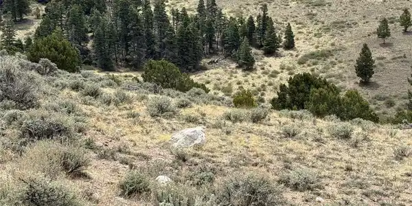 Image 2 Image 2