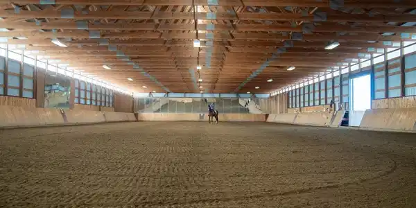 Image 4: Indoor Arena