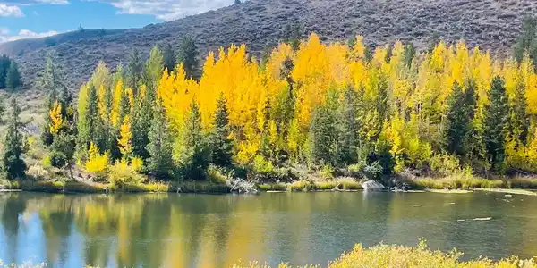 Image 3: Fall Image 3: Fall