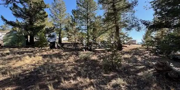 186 Lantern Loop