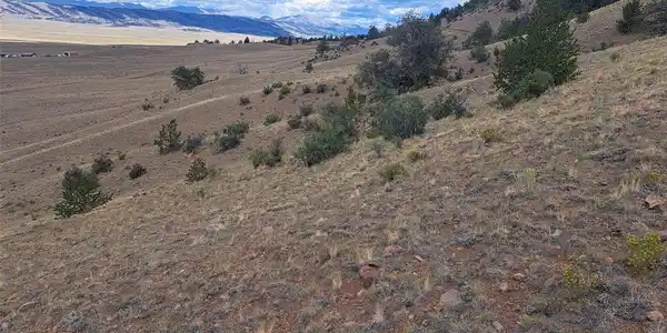 Image 4 Image 4