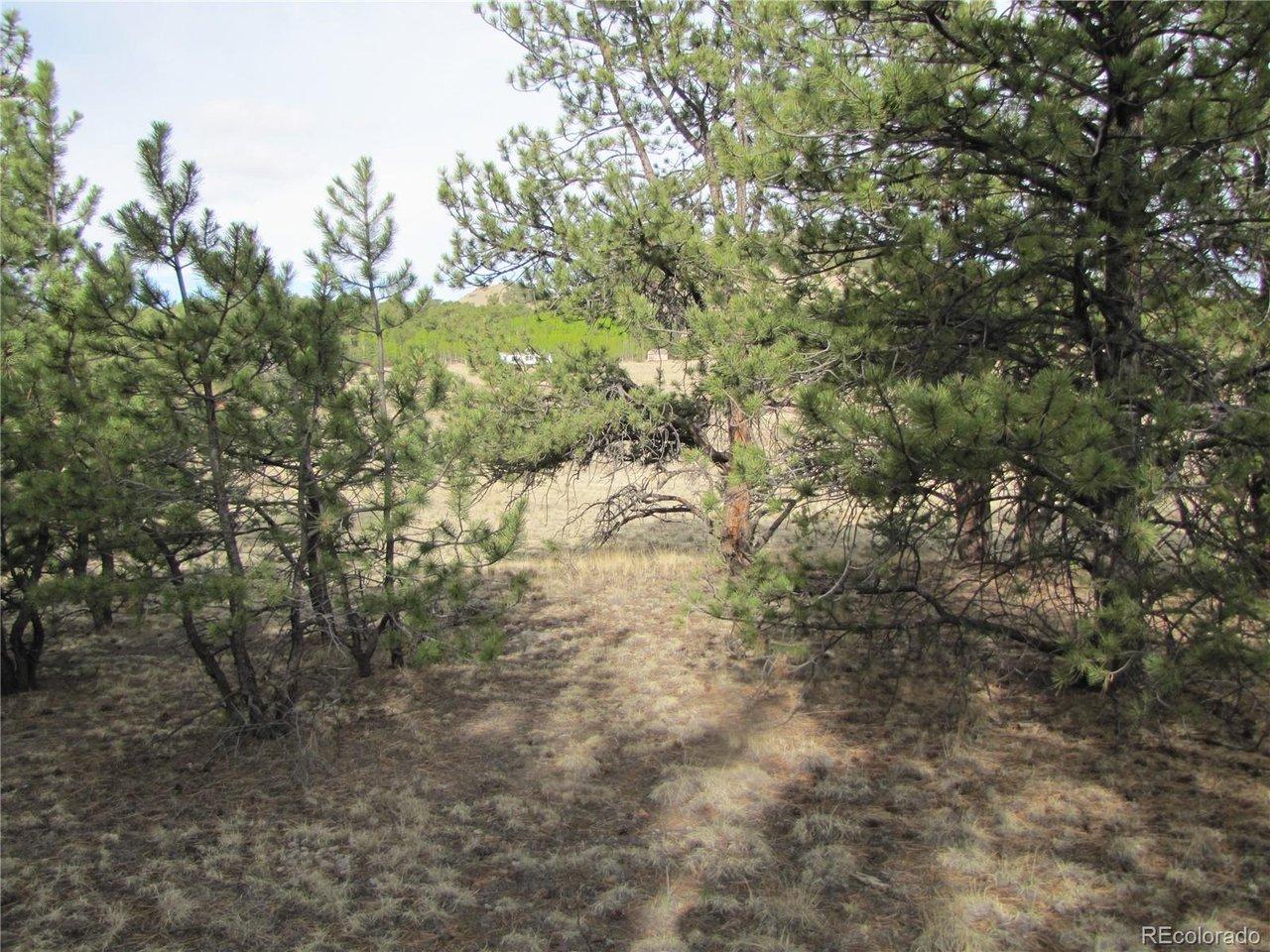 Image 4 Image 4