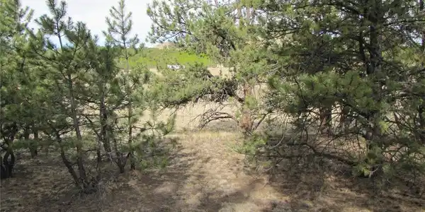 Image 4 Image 4