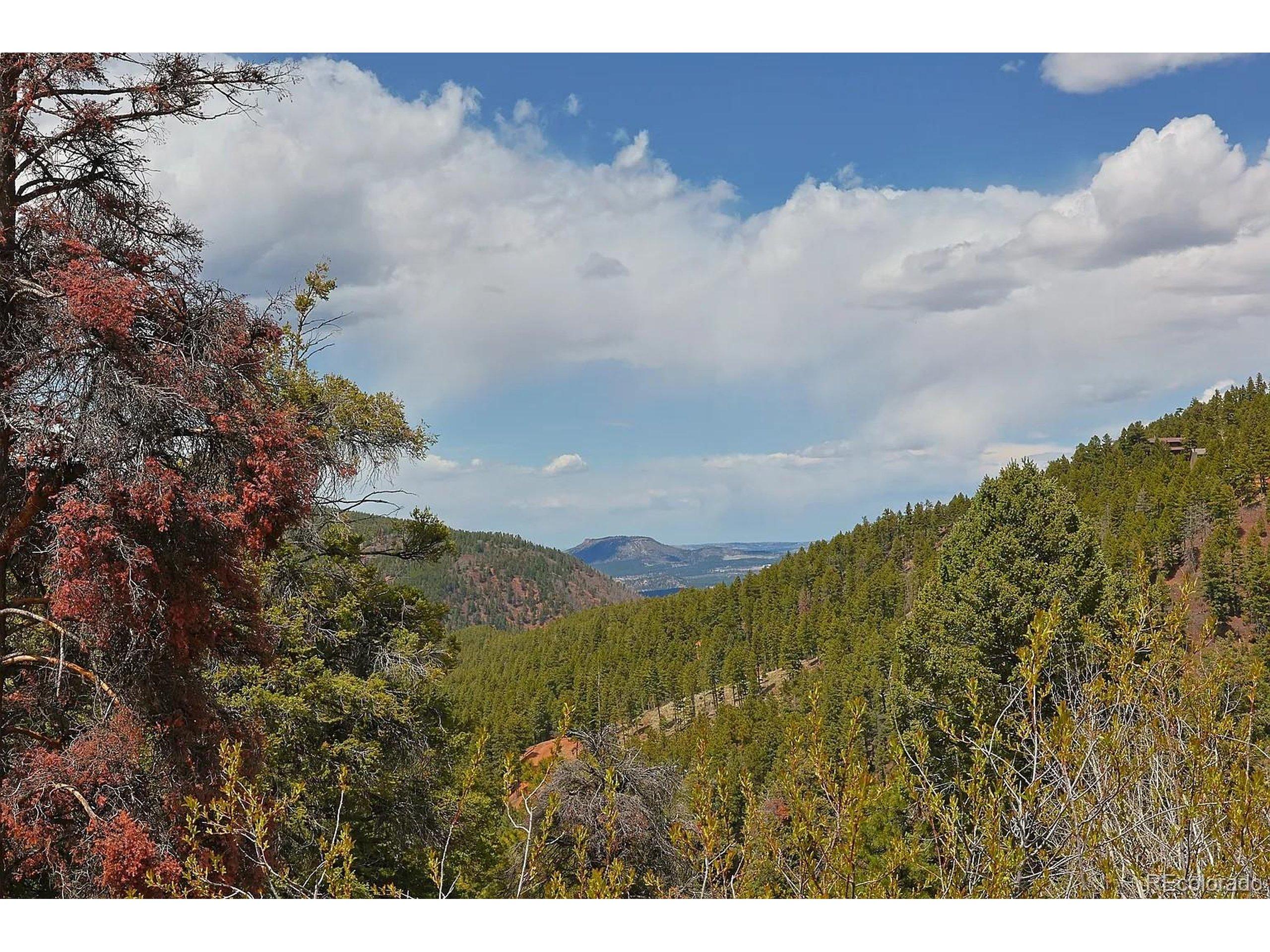 Image 1 Image 1