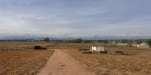 Image 4 Image 4