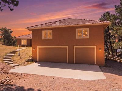 17215 Fairplay Dr