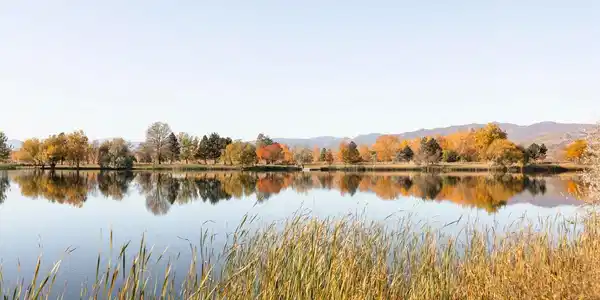 Image 3 Image 3
