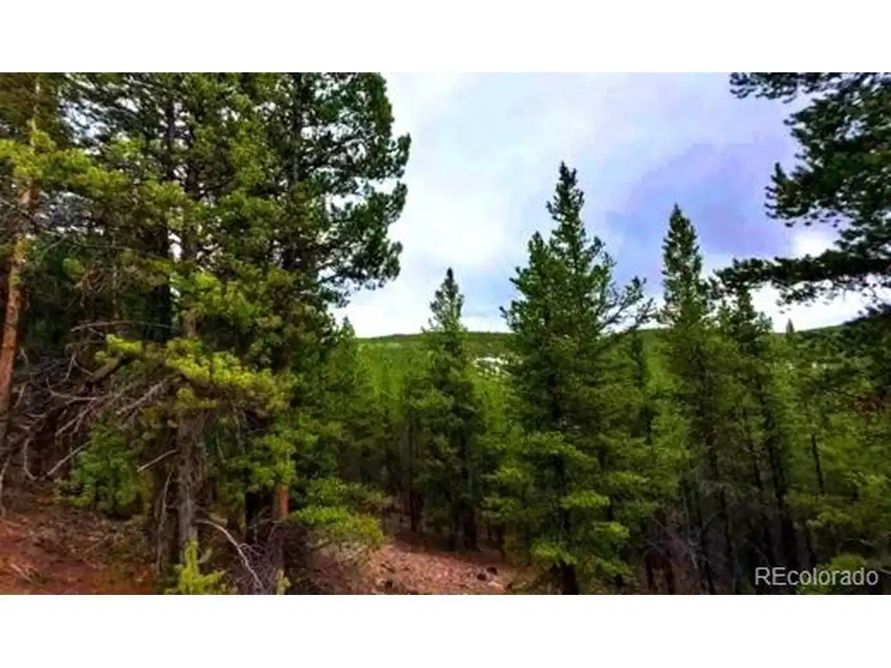 Image 1 Image 1