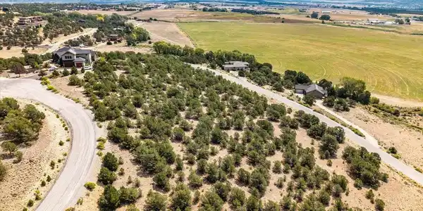 Image 3: Aerial views to the East with green ranch land and the Arkansas River Valley in the back drop
