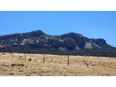 291 Black Hills