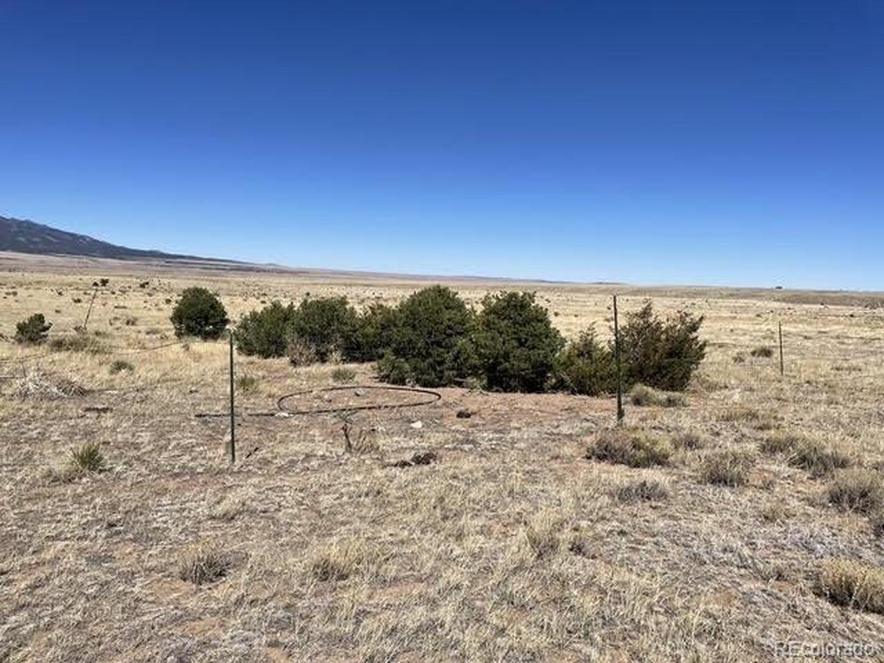 Image 4 Image 4