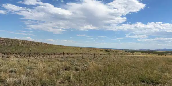 Image 4 Image 4