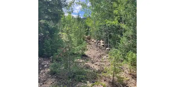 Image 2: Easy Walking Trail Image 2: Easy Walking Trail