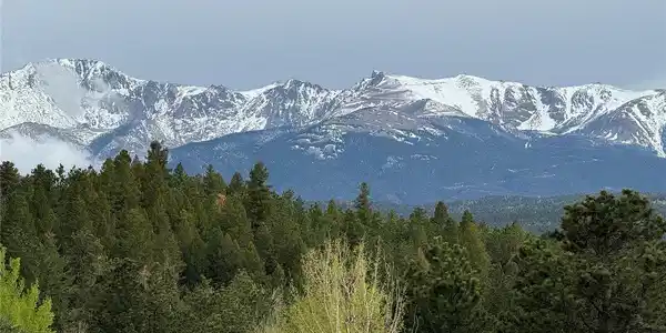 Image 4 Image 4