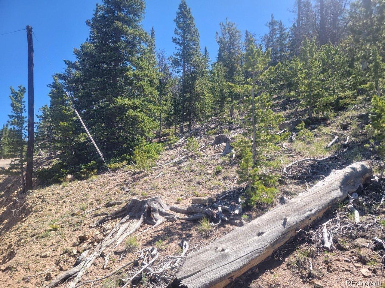 Image 3 Image 3