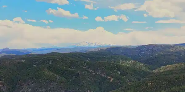 Image 3 Image 3