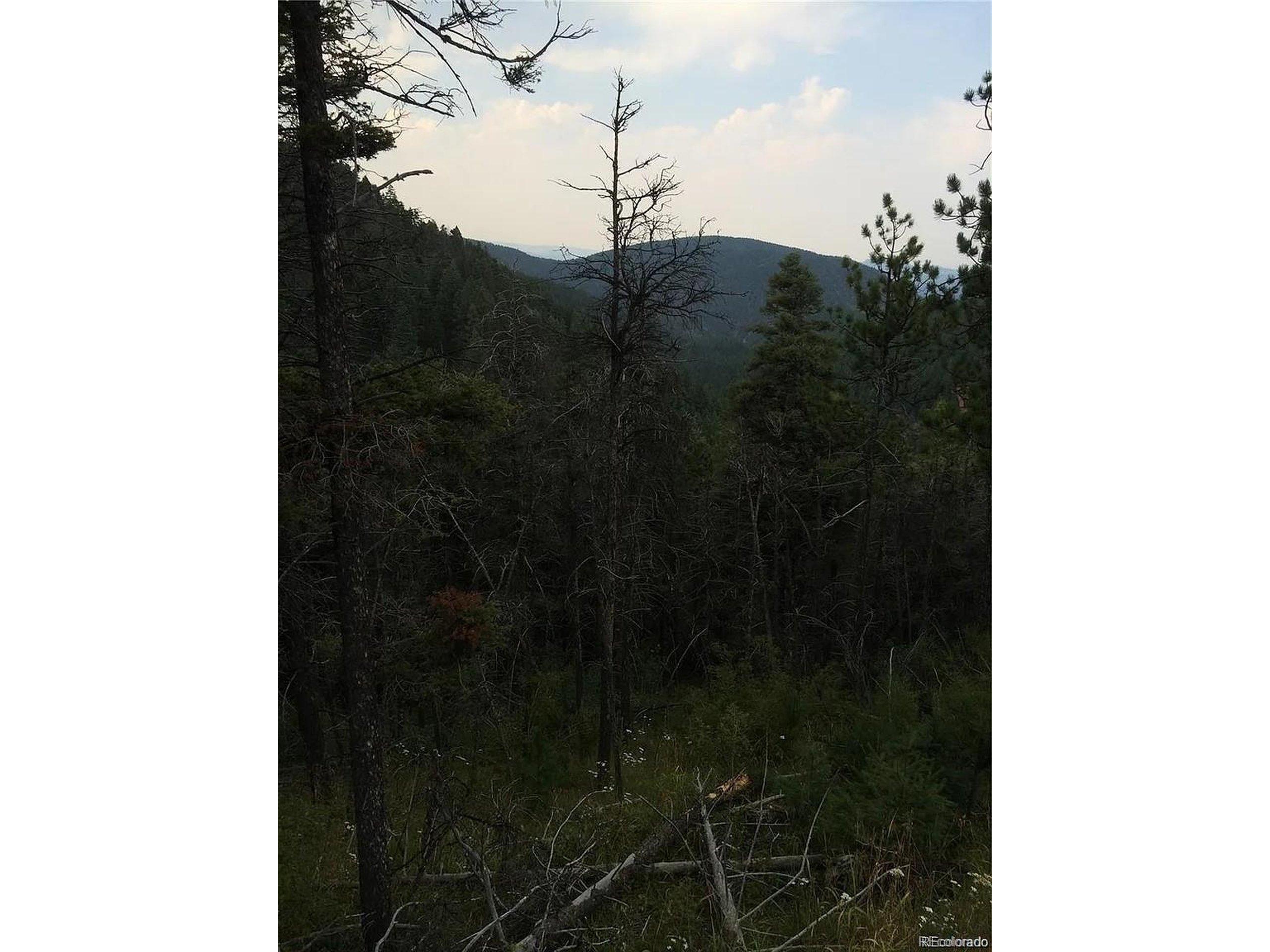 Image 4 Image 4