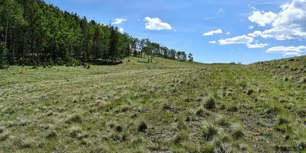 Image 3 Image 3