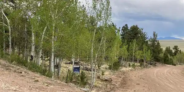 Image 3: Corner lot with pine, spruce and aspen trees Image 3: Corner lot with pine, spruce and aspen trees
