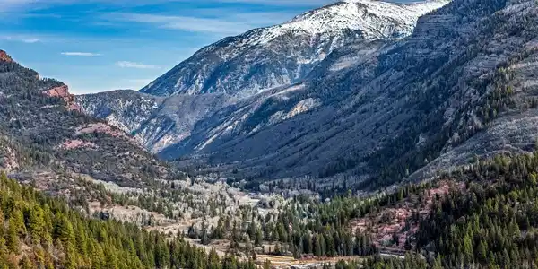 Bear Creek Ln