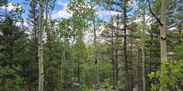 Image 4 Image 4