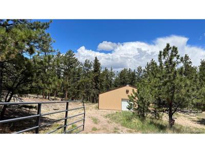 207 Little Bear Dr