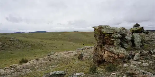 Image 3 Image 3
