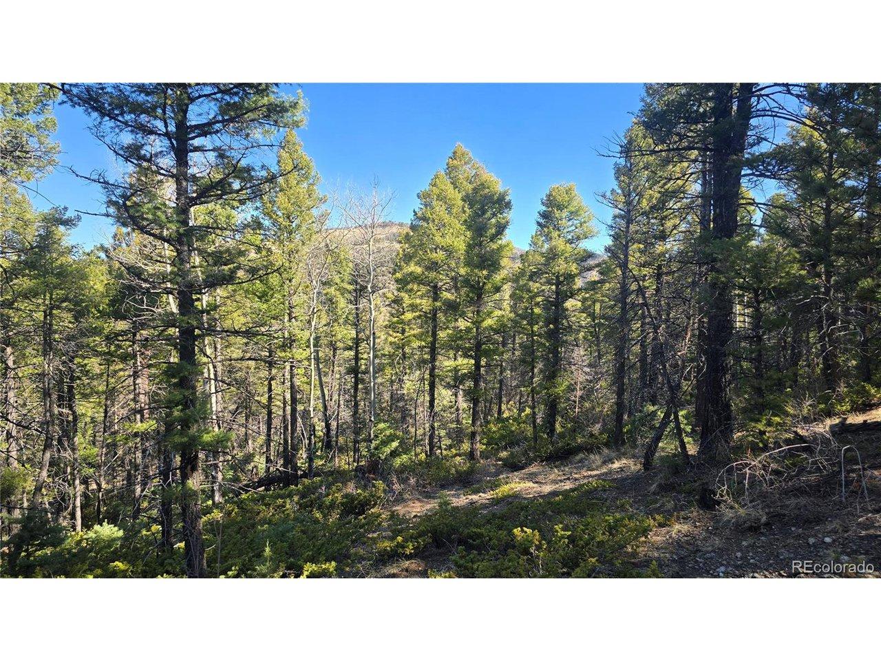 Image 4 Image 4