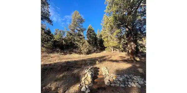 Forbes Rd