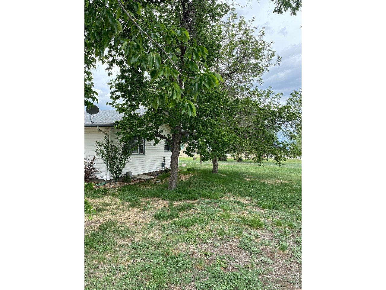 Image 2: Yard with mature trees and shade Image 2: Yard with mature trees and shade
