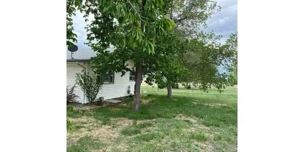 Image 2: Yard with mature trees and shade Image 2: Yard with mature trees and shade