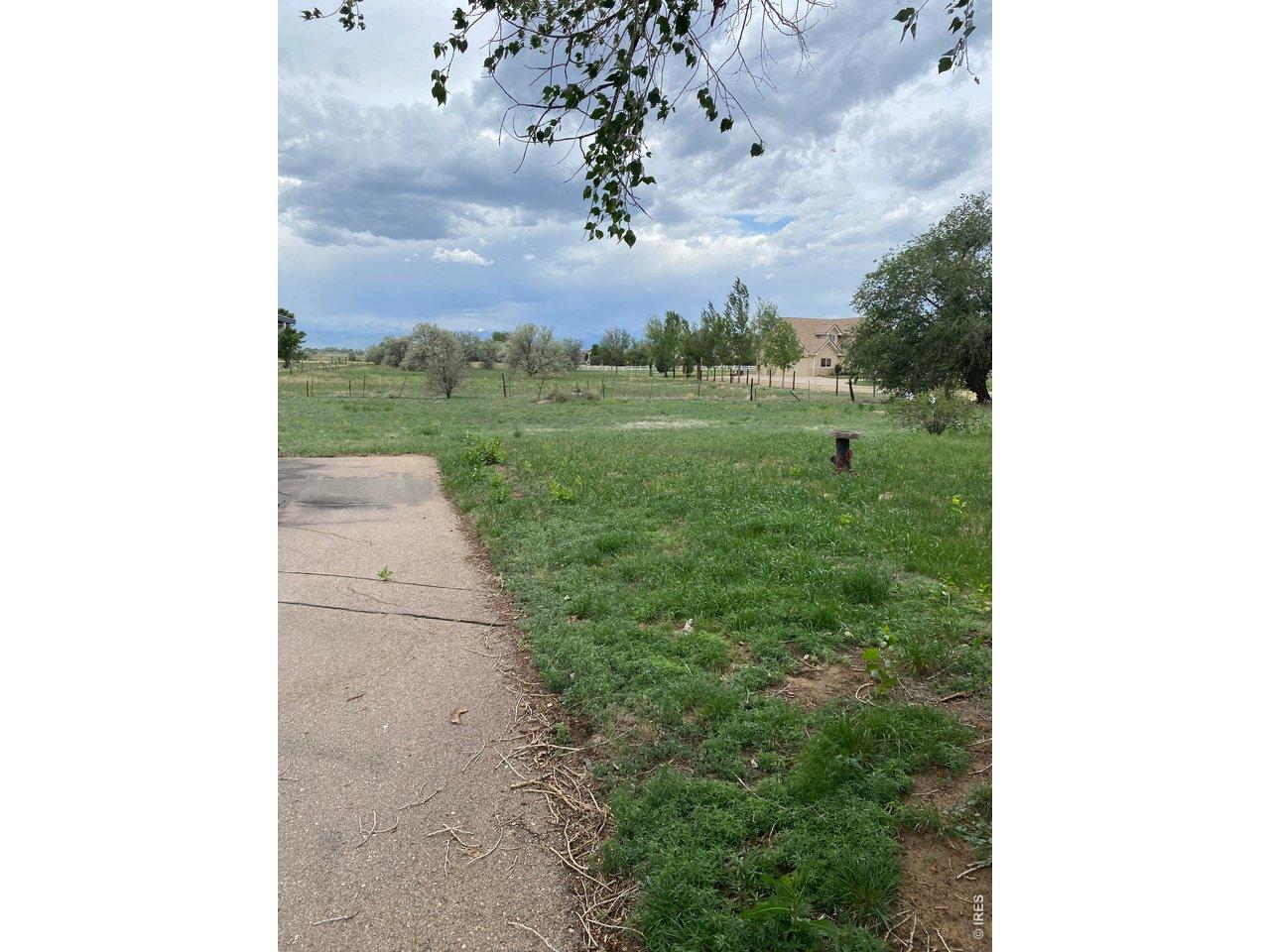 Image 4 Image 4