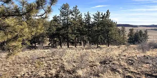Image 4: Beautiful 2.19 acre lot Image 4: Beautiful 2.19 acre lot
