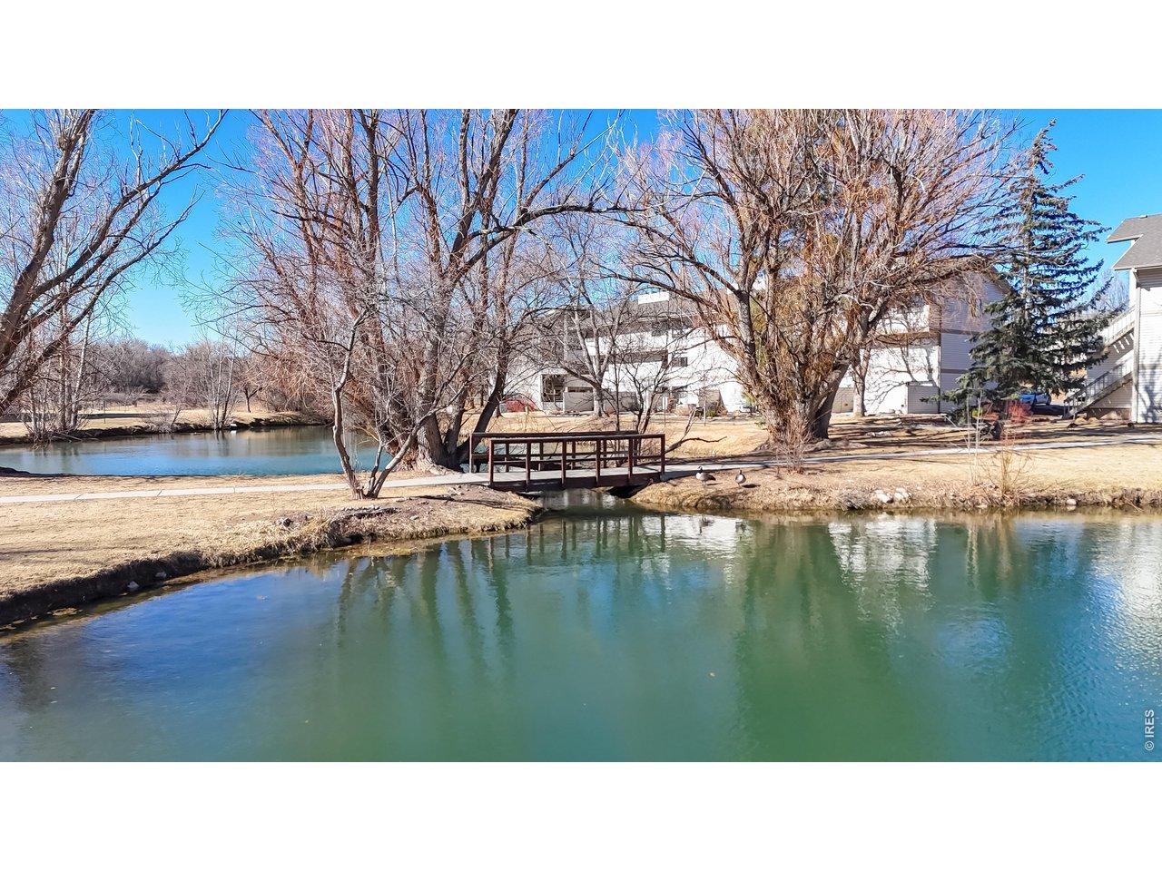 Image 3: 2 Ponds on the Property are Right Outside the Front Door!