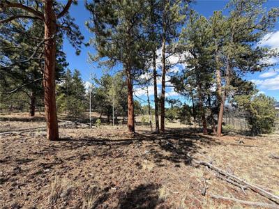 239 Shenandoah Path