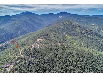 1234 Warren Gulch Rd