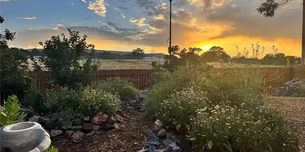 Image 2: Spectacular Summer Sunsets in the Garden! Image 2: Spectacular Summer Sunsets in the Garden!