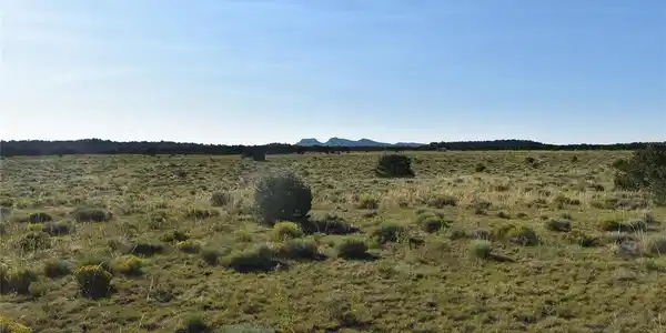 Image 4 Image 4