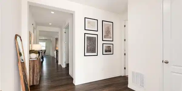 Image 4 Image 4