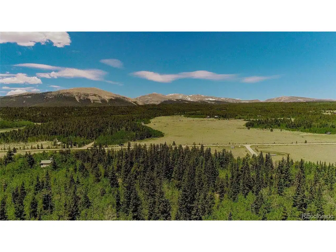 Image 1: Aerial view of Foxtail Pines