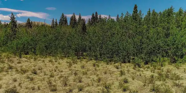 Image 2: Surrounded by National forest