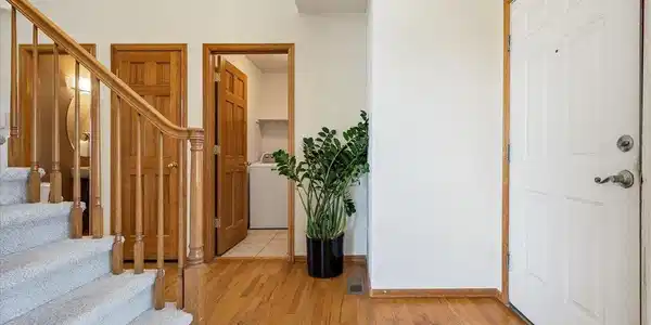 Image 4 Image 4