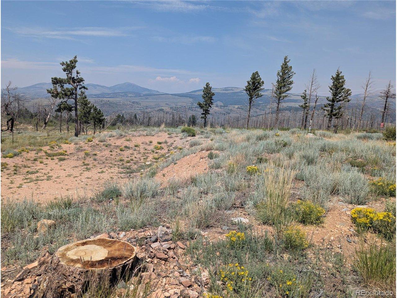 Image 4 Image 4