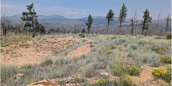 Image 4 Image 4